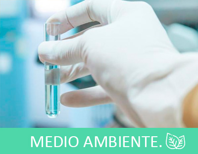 Medio Ambiente